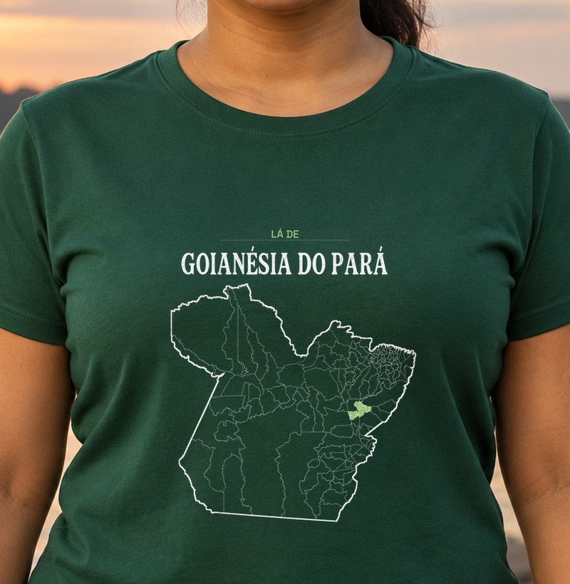 Goianésia do Pará | Território PA
