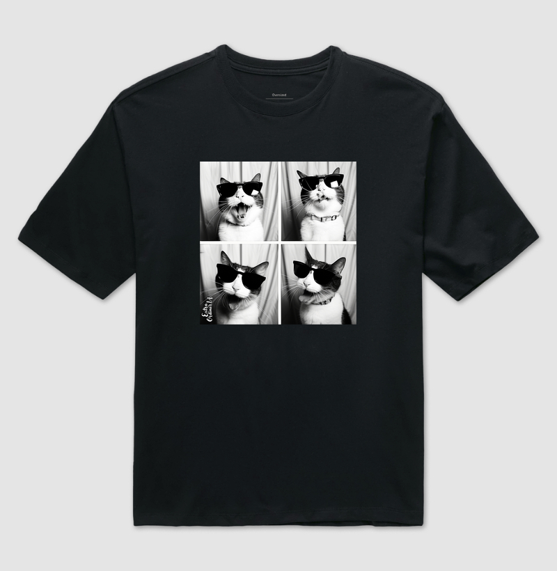 Gato Tricolor de Óculos Ensaio Fotografico