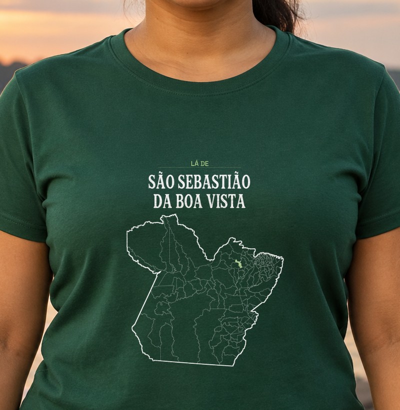 São Sebastião da Boa Vista | Território PA