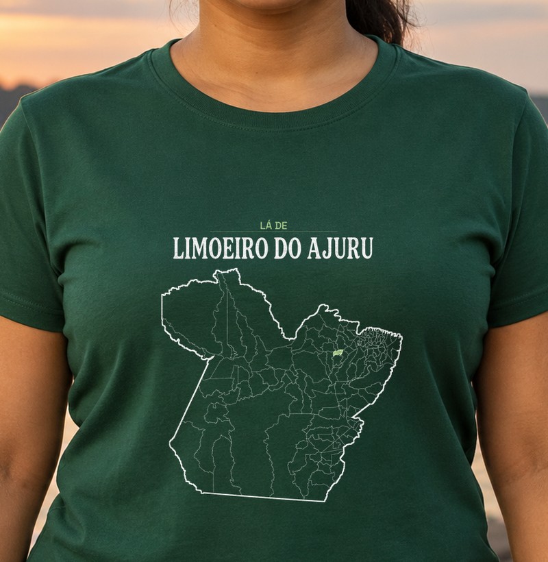 Limoeiro do Ajuru | Território PA