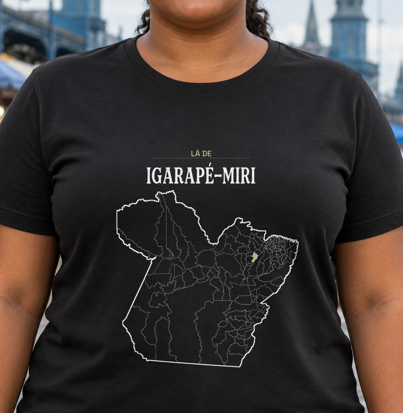 Igarapé-Miri | Território PA