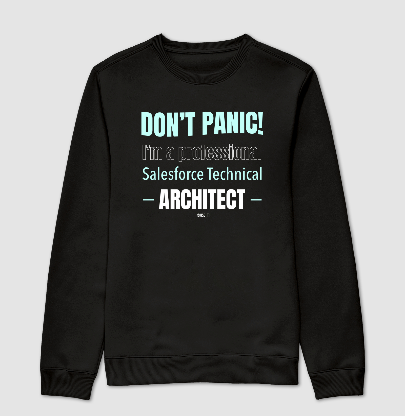 "Don't Panic - Salesforce Professional III" T.I