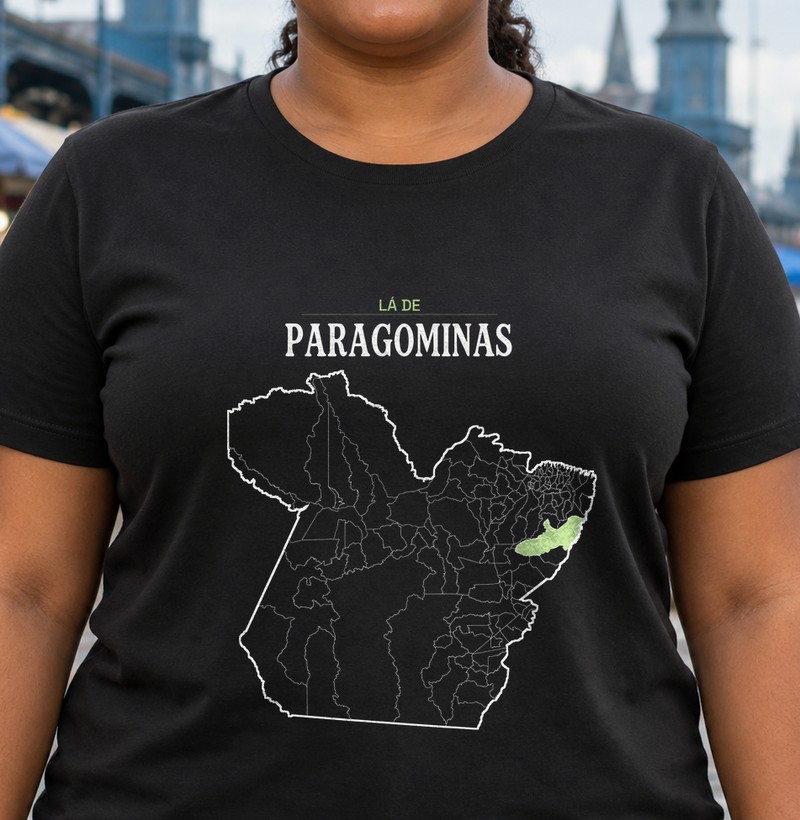 Paragominas | Território PA
