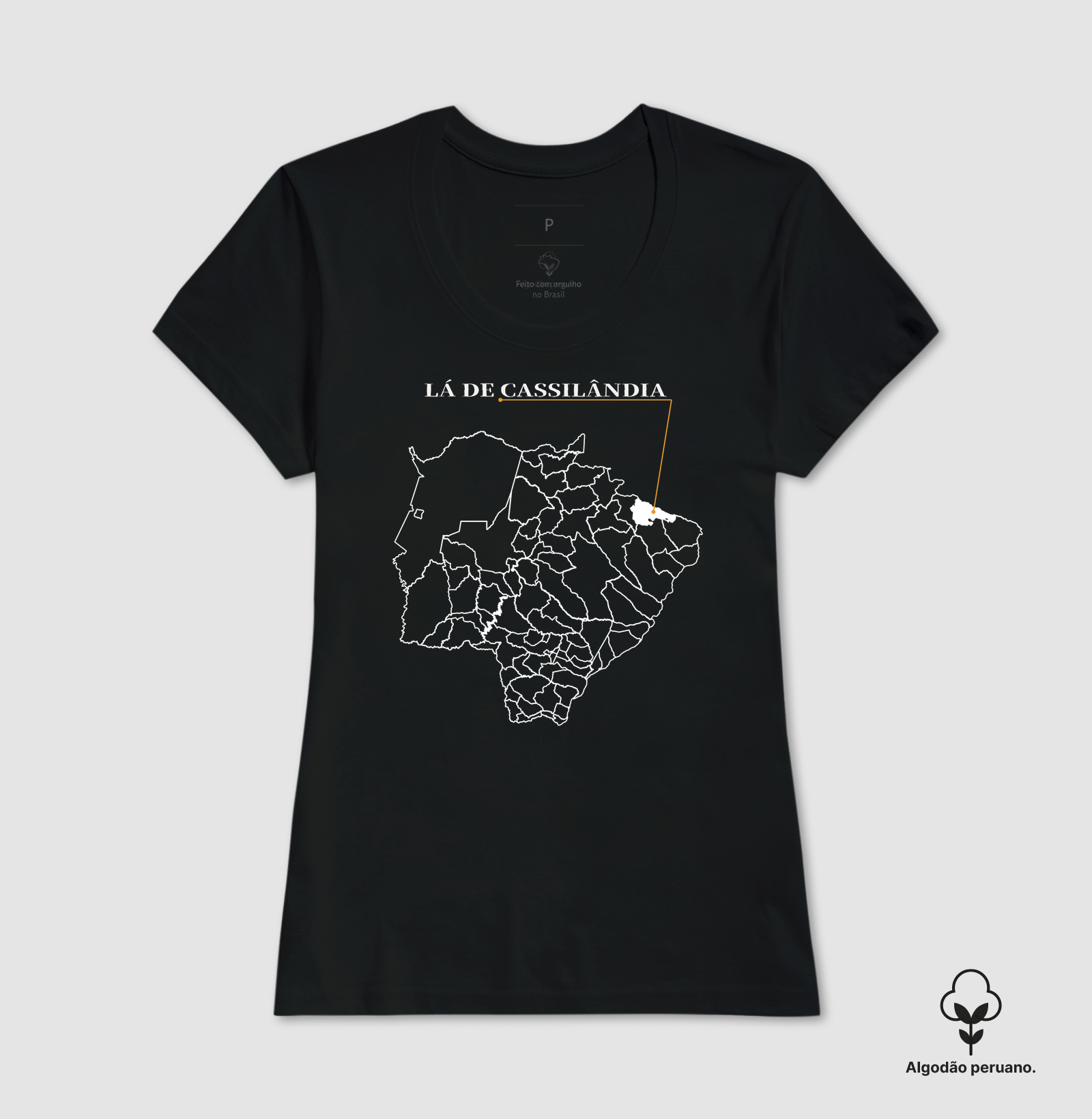 Cassilândia | Origem MS - Imagem 2