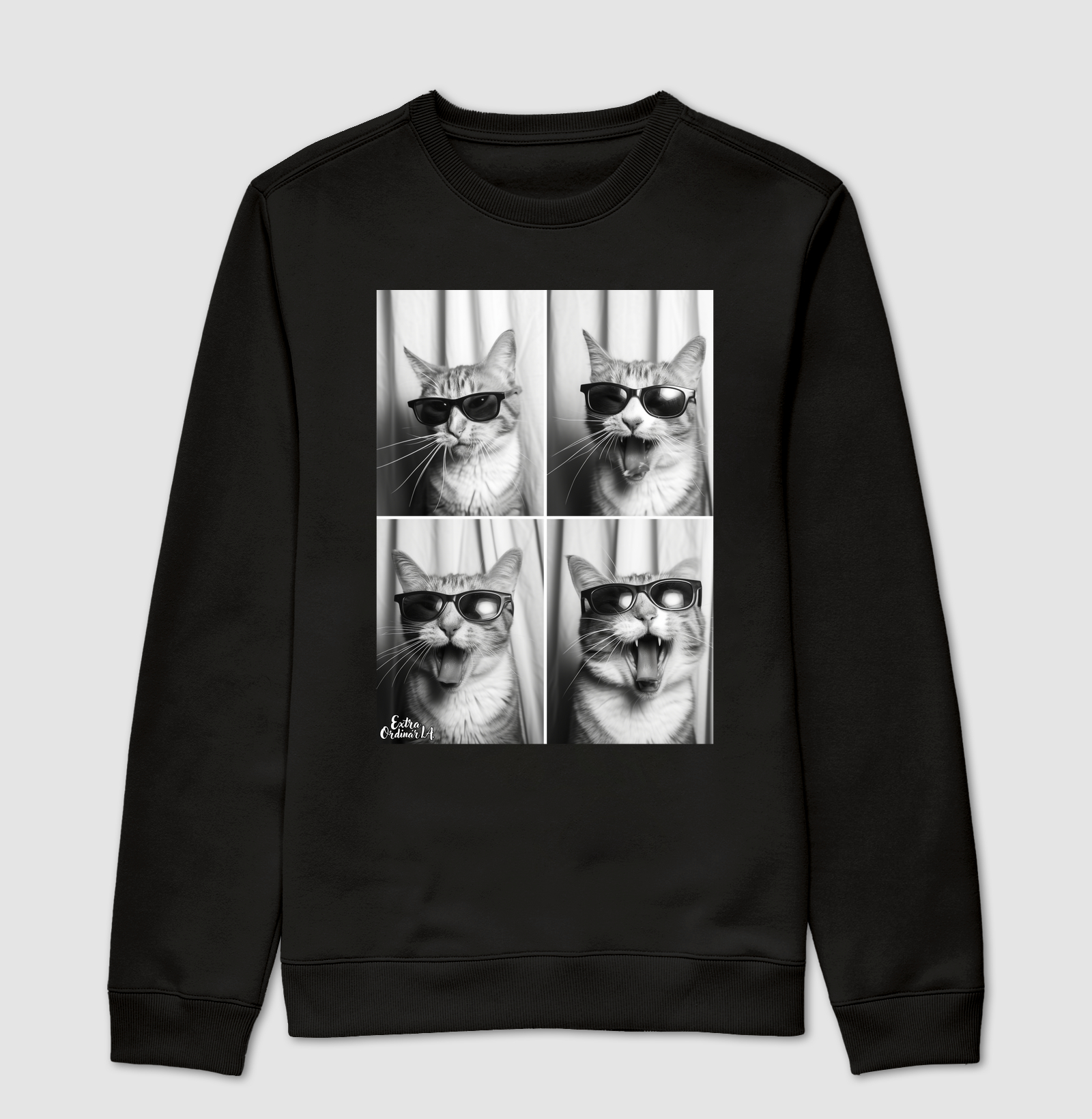 Ensaio Fotografico: Gato de Óculos