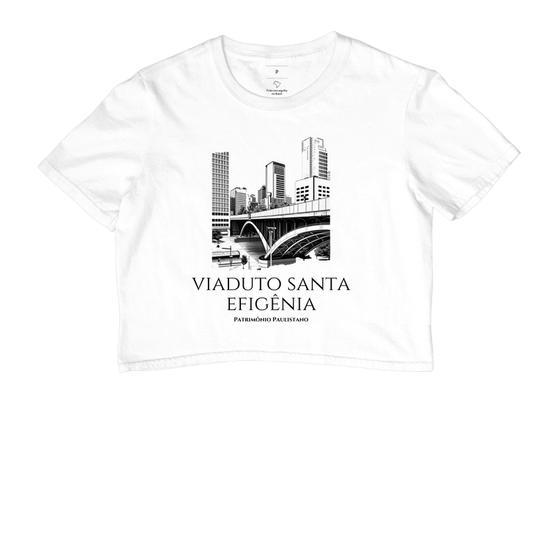 Viaduto Santa Efigênia - Patrimônio Paulistano - Imagem 3