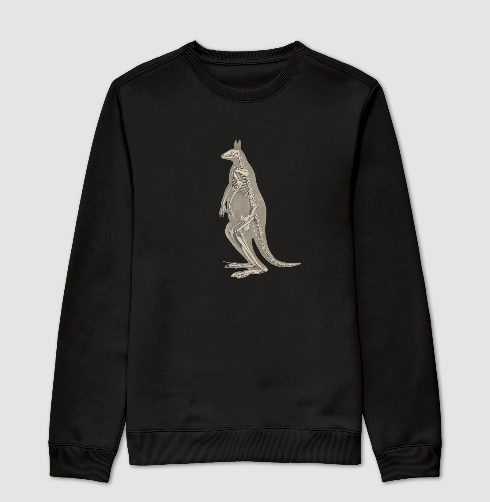 Esqueleto canguru (1821–38)