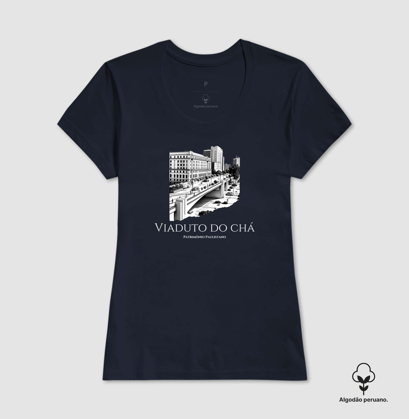 Viaduto do Chá - Patrimônio Paulistano - Imagem 7