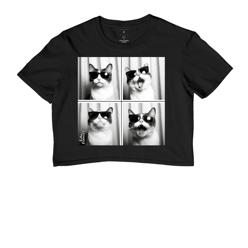 Gato Tricolor de Óculos Ensaio Fotografico