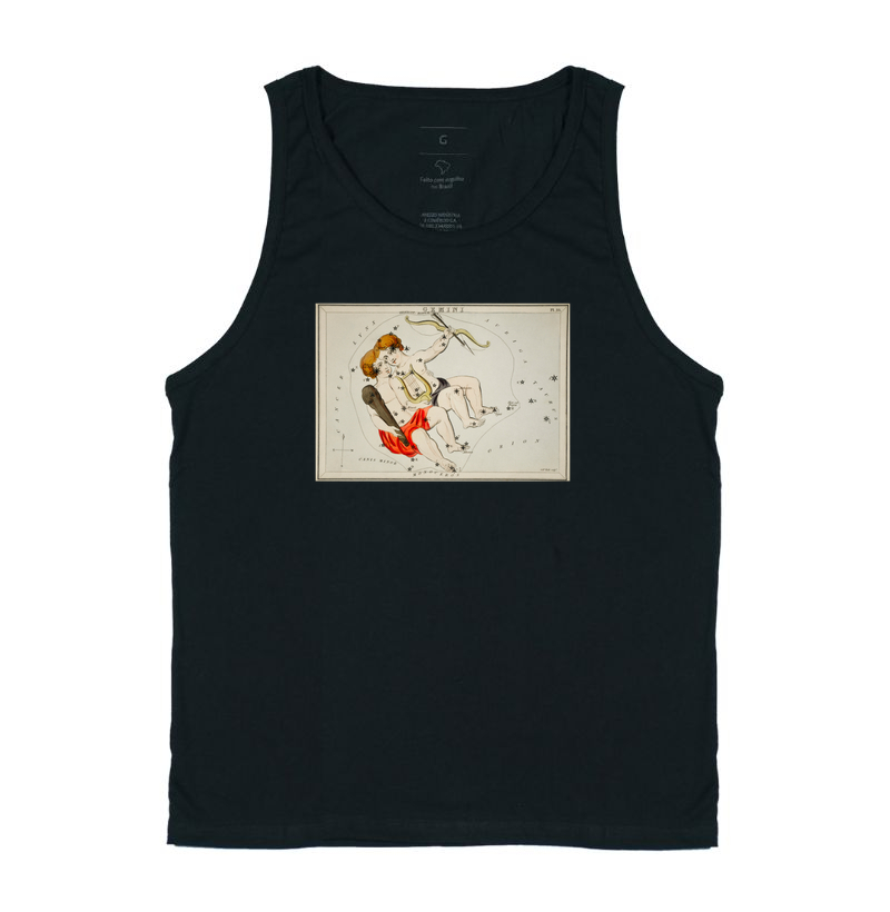 Gêmeos - Signos e constelações (1825)