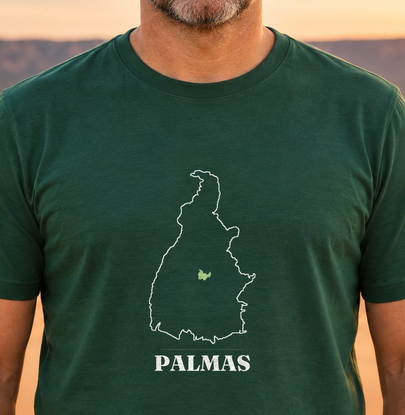 Palmas | Traço TO