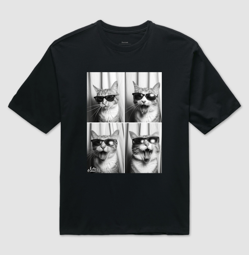 Ensaio Fotografico: Gato de Óculos