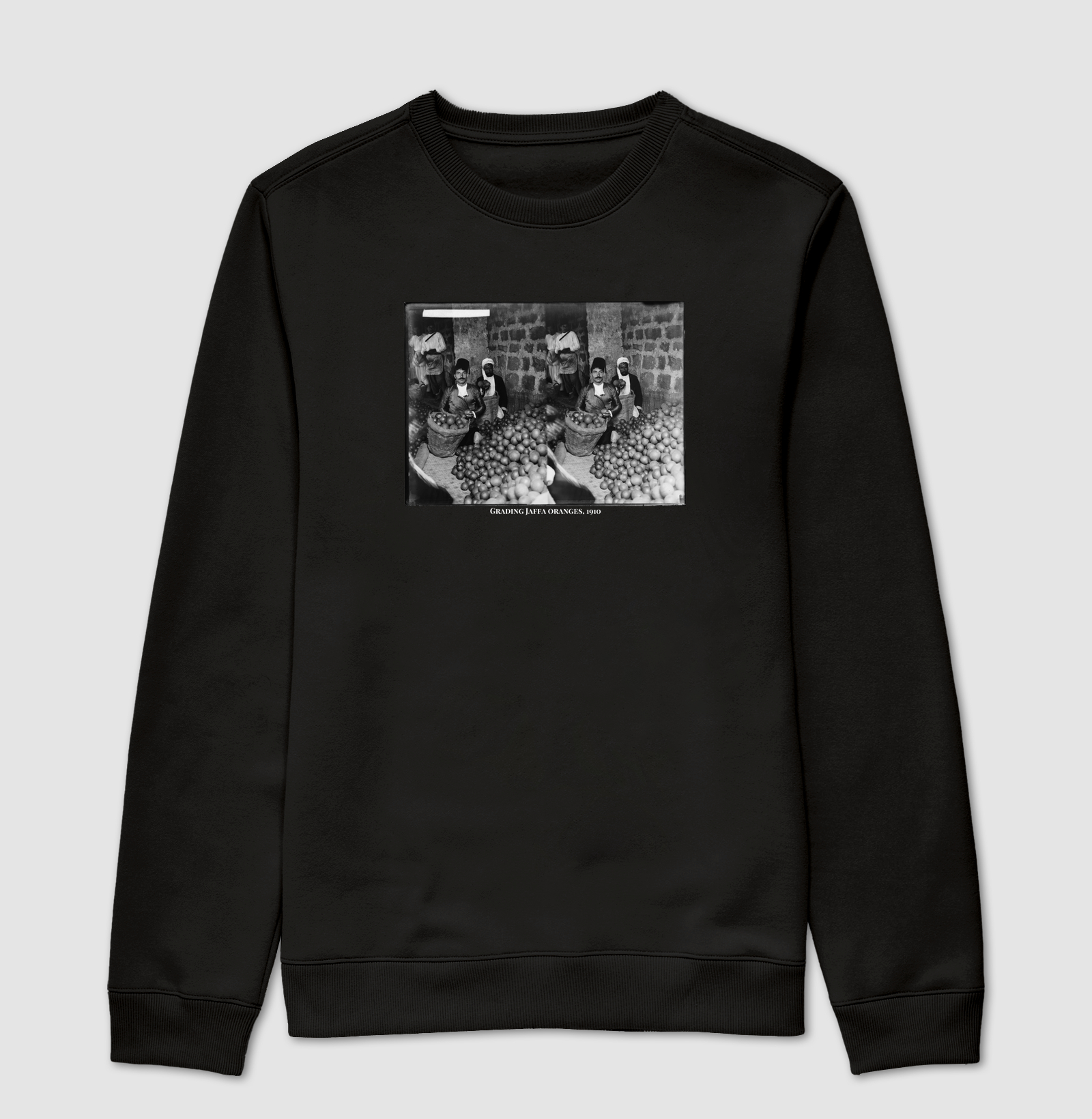  Classificação das Laranjas Jaffa (1910)