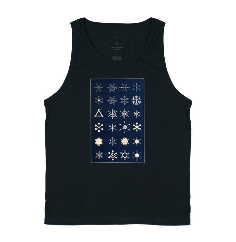 Cristais de Neve (1863)