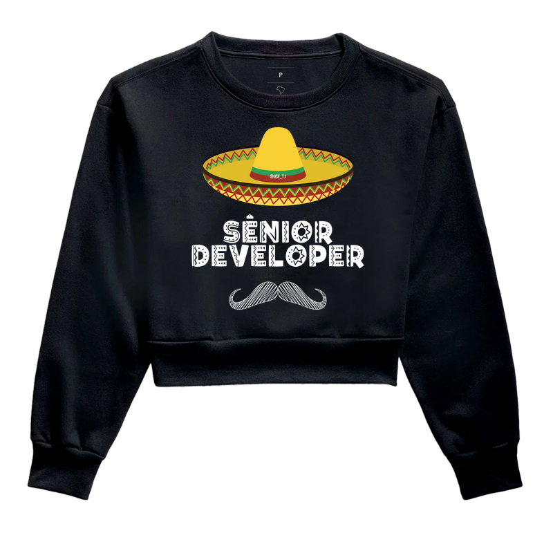 “Sênior Developer” T.I