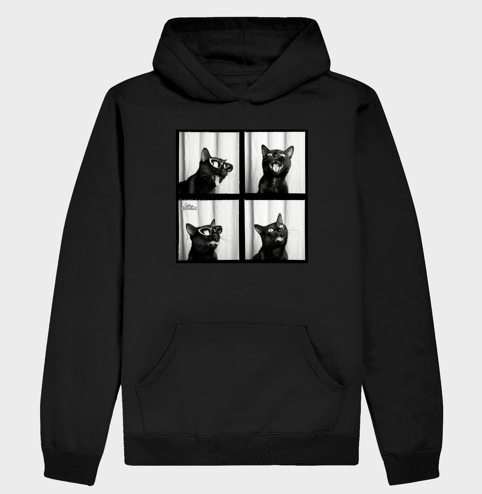 Gato Preto de Oculos Ensaio Fotografico