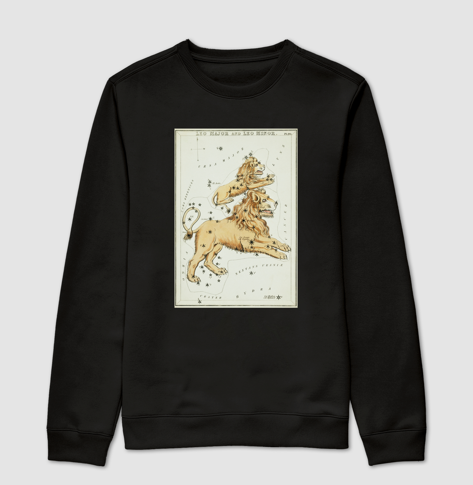 Leão - Signos e constelações (1825)