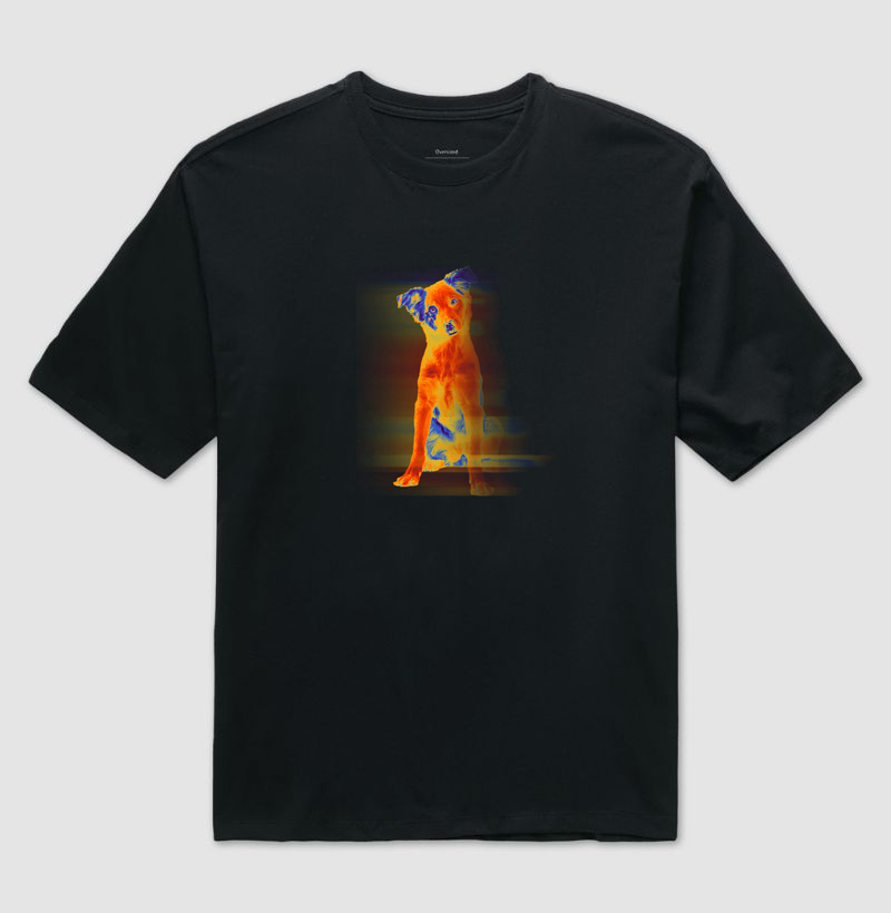 Neon Border Collie