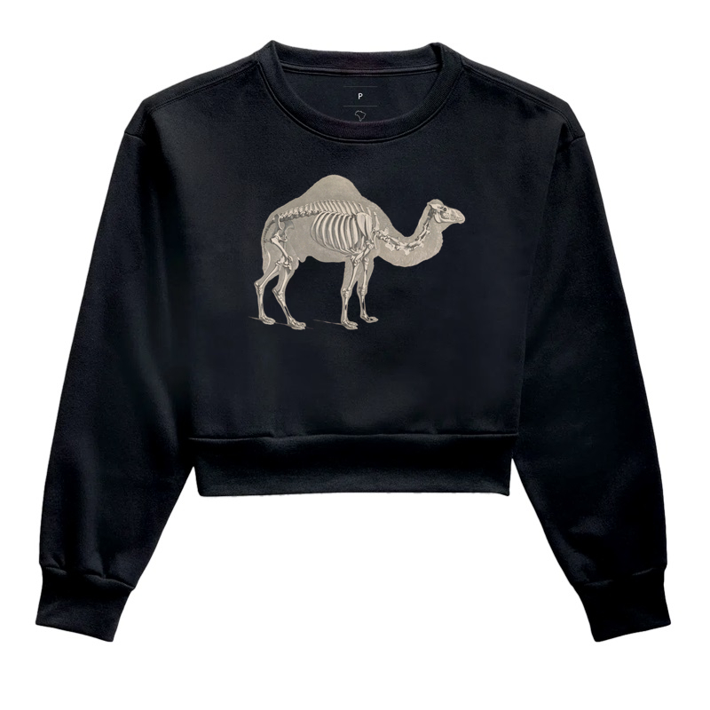 Esqueleto dromedário (1821–38)