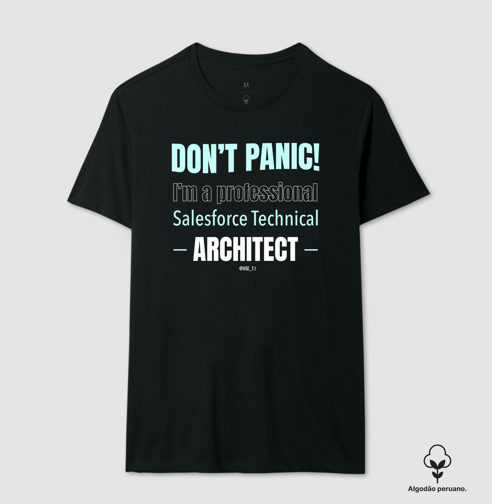 "Don't Panic - Salesforce Professional III" T.I