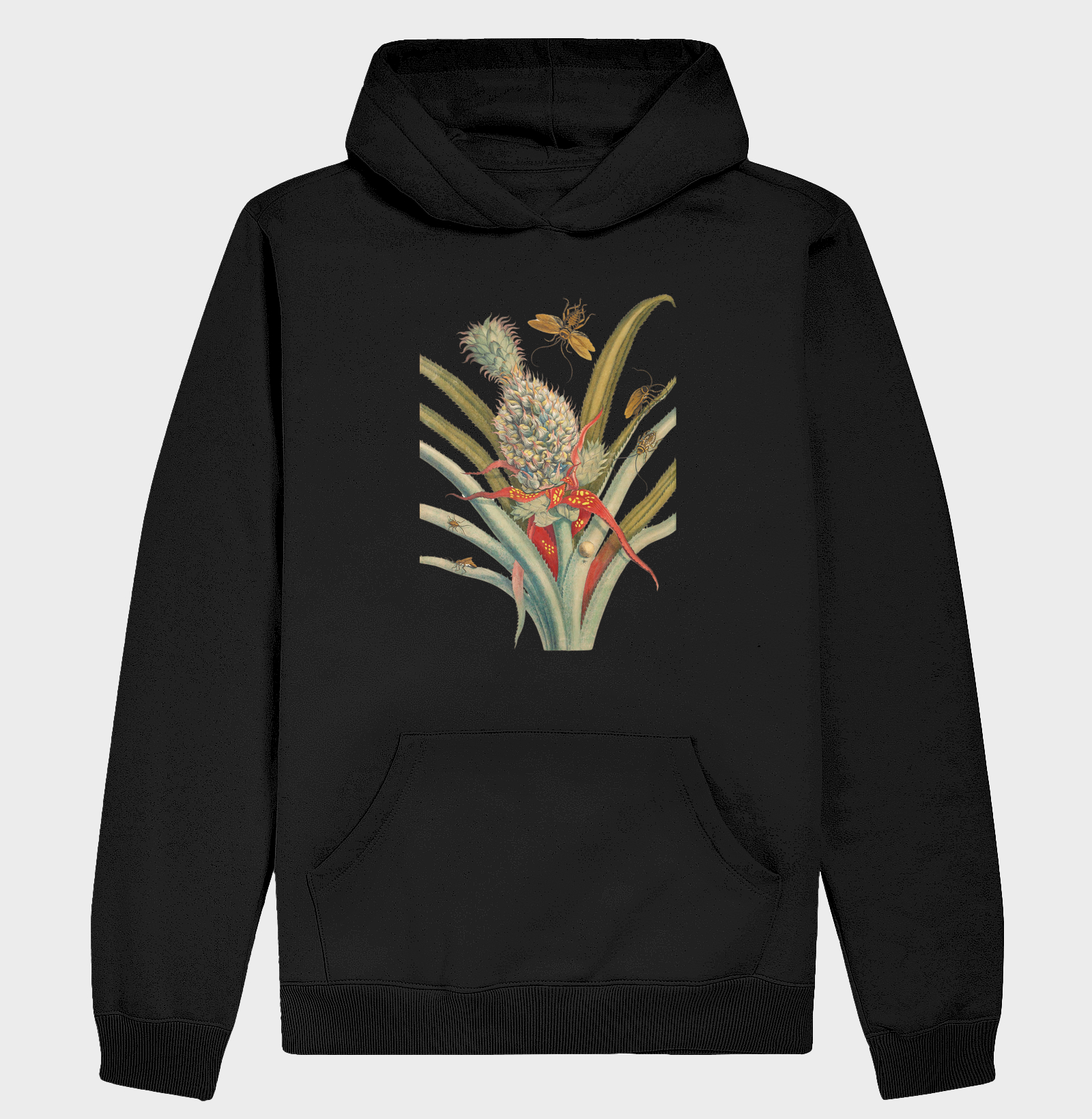 Metamorfose de Merian (1705)