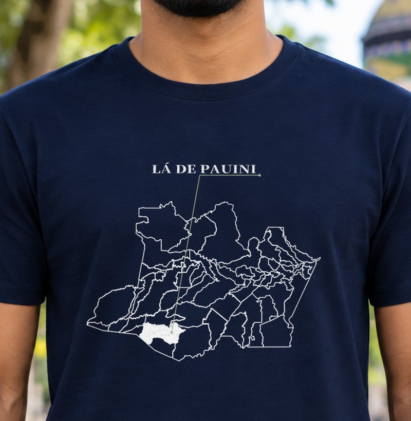 Pauini | Origem AM