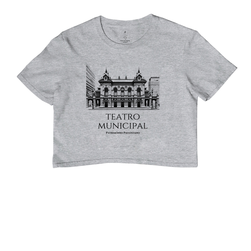 Teatro Municipal - Patrimônio Paulistano - Imagem 6