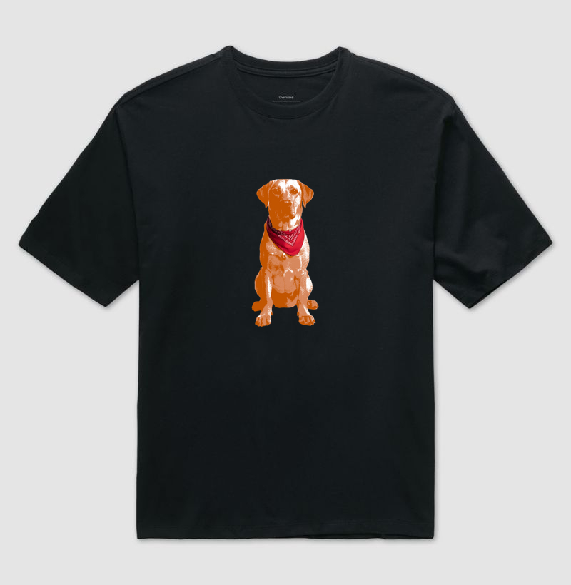Tone Labrador