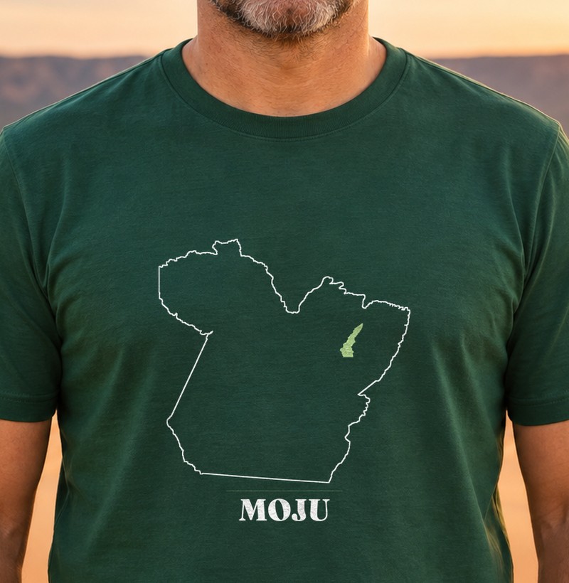 Moju | Traço PA