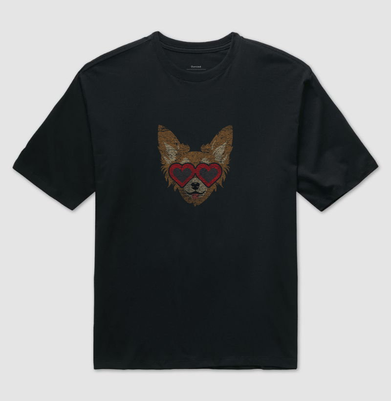 Sundog Chihuahua