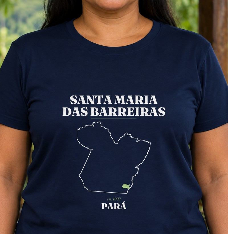 Santa Maria das Barreiras | Legado PA