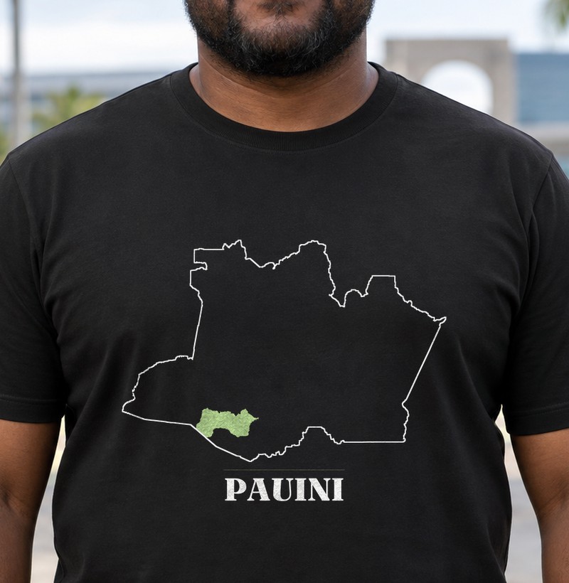 Pauini | Traço AM