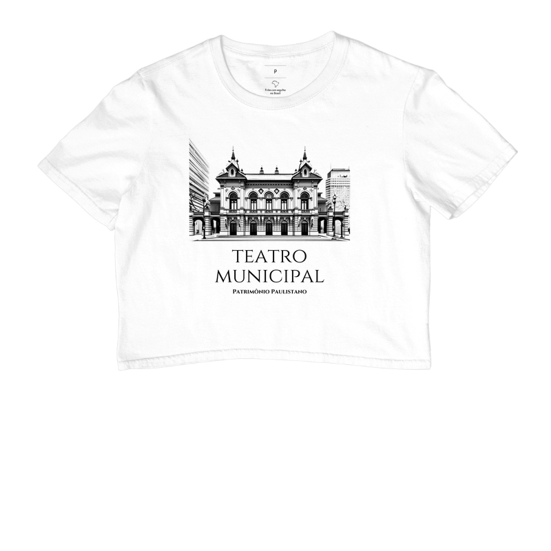 Teatro Municipal - Patrimônio Paulistano - Imagem 3