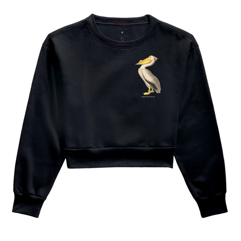 Pelicano-Branco Americano (1827–38)