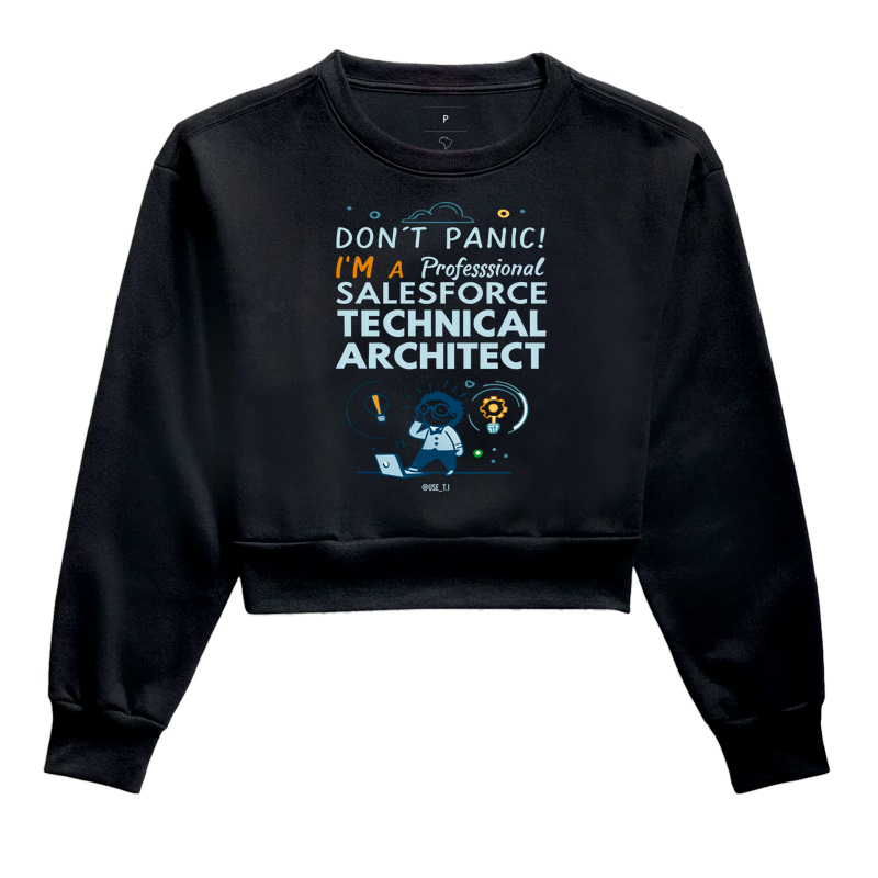 "Don't Panic - Salesforce Professional" T.I