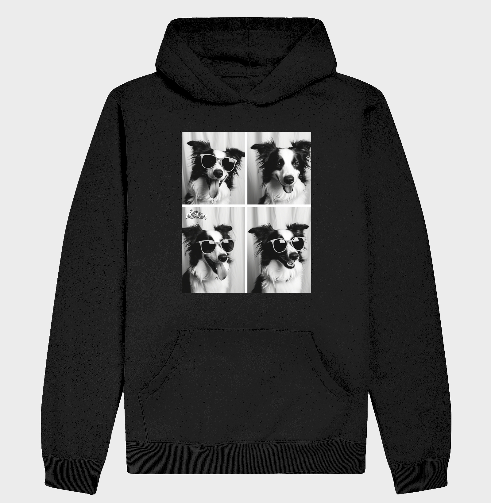 Border Collie Ensaio Photobooh 