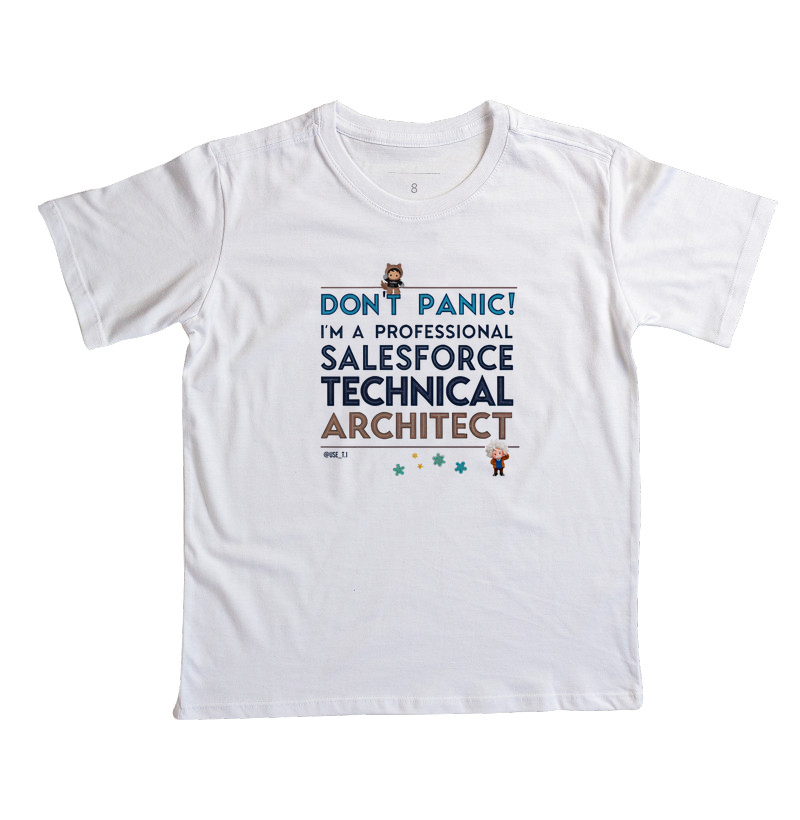 "Don't Panic - Salesforce Professional II" T.I