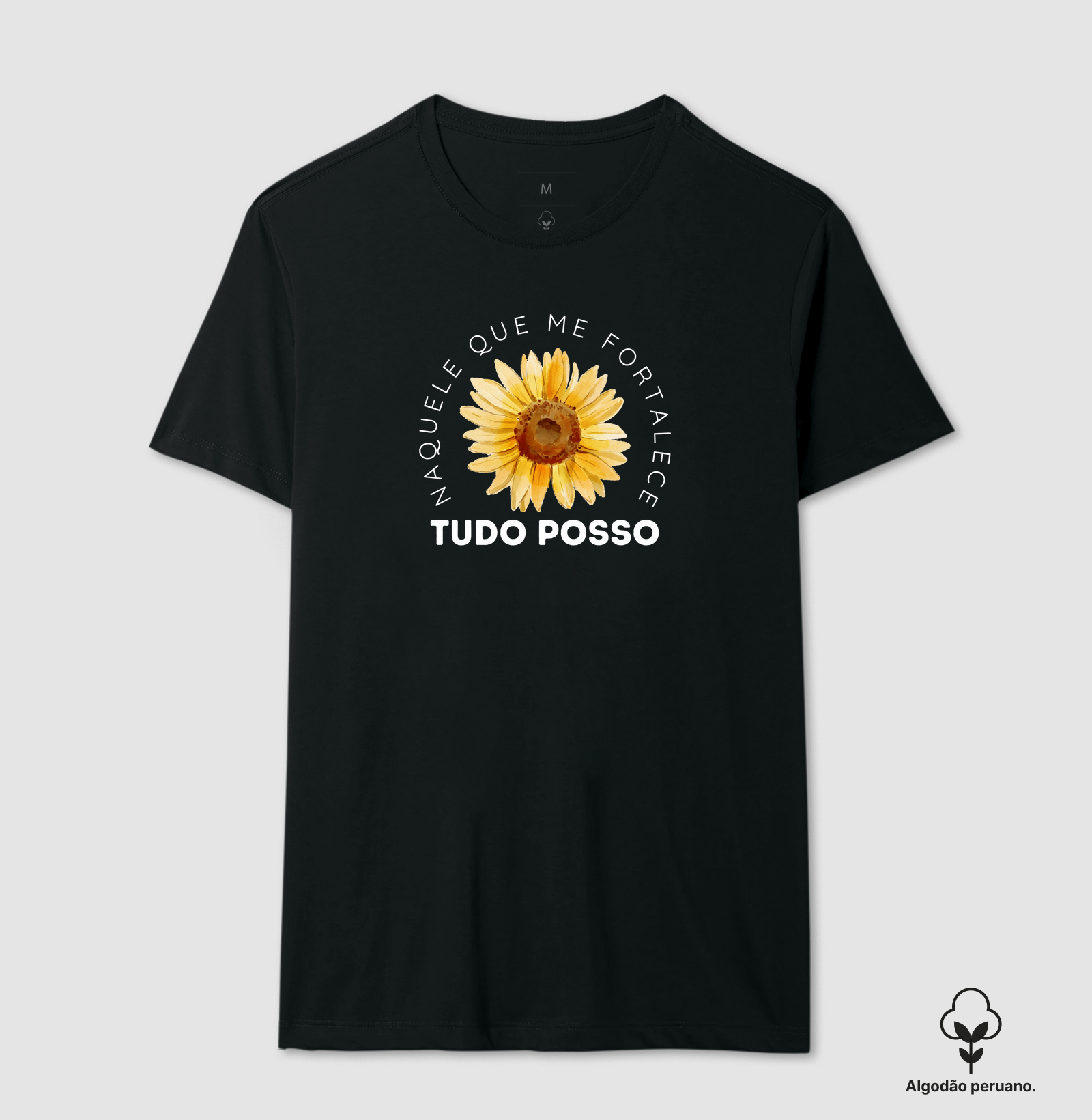 Tudo posso naquele que me fortalece I