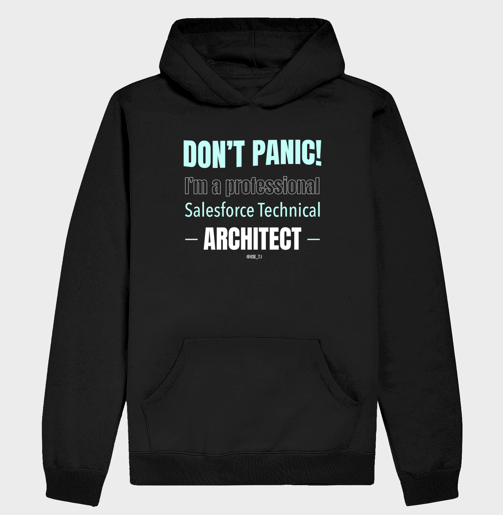 "Don't Panic - Salesforce Professional III" T.I