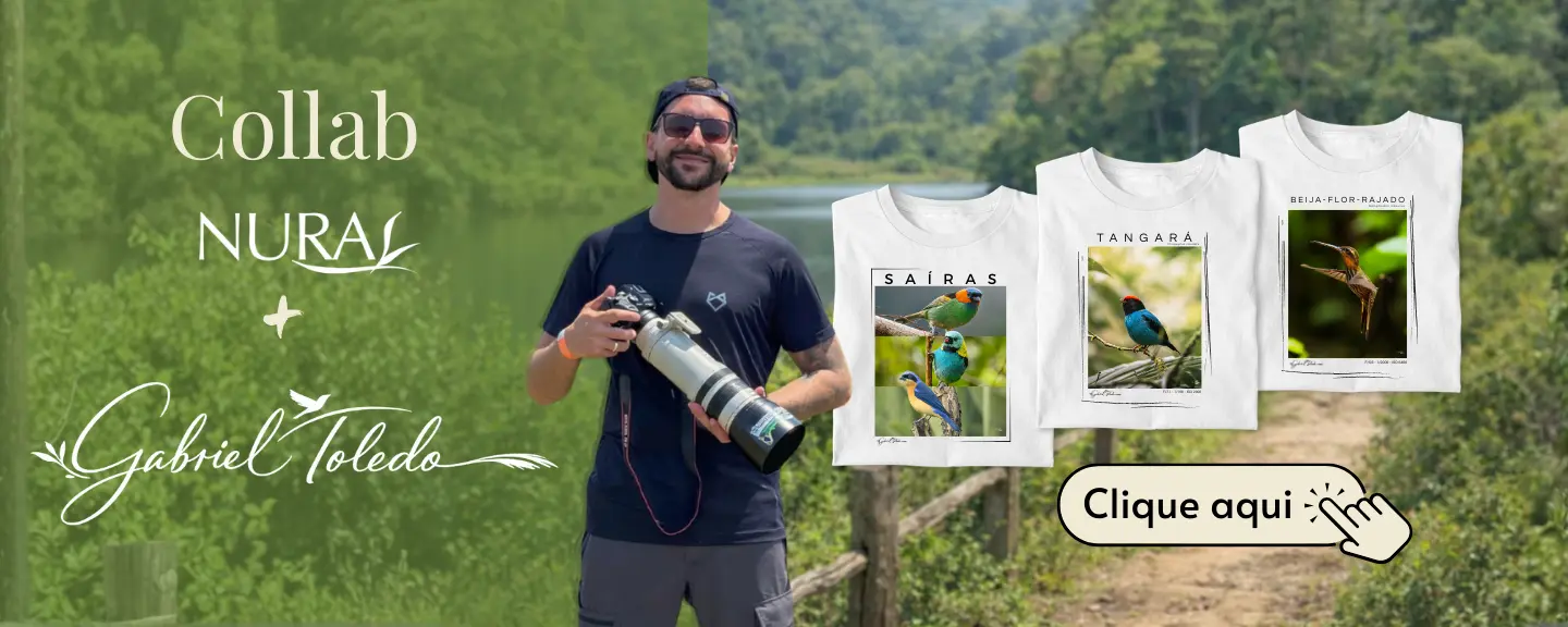 Imagem 0 da seção 5