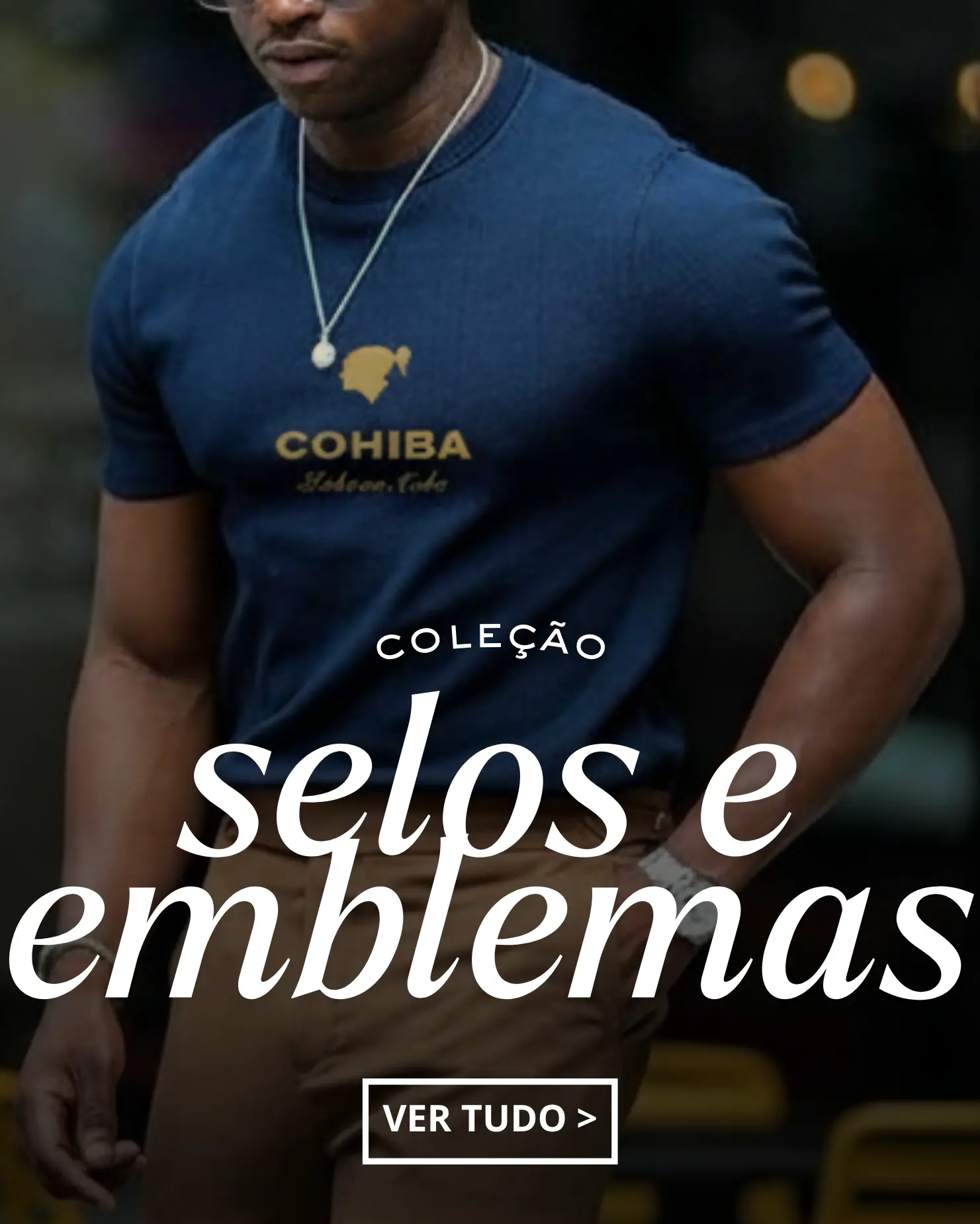 Imagem 0 da seção 11