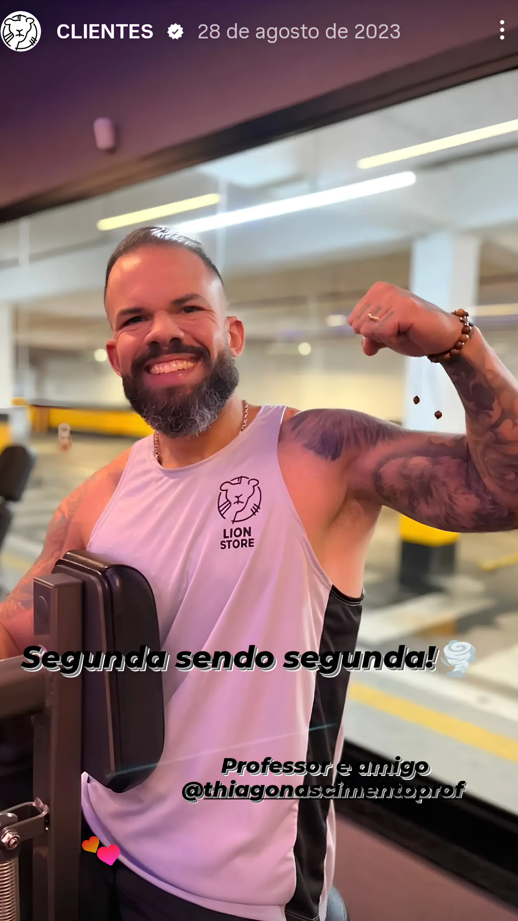 Imagem 5 da seção 11