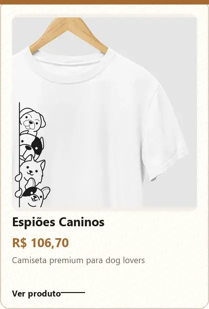 Imagem 3 da seção 10