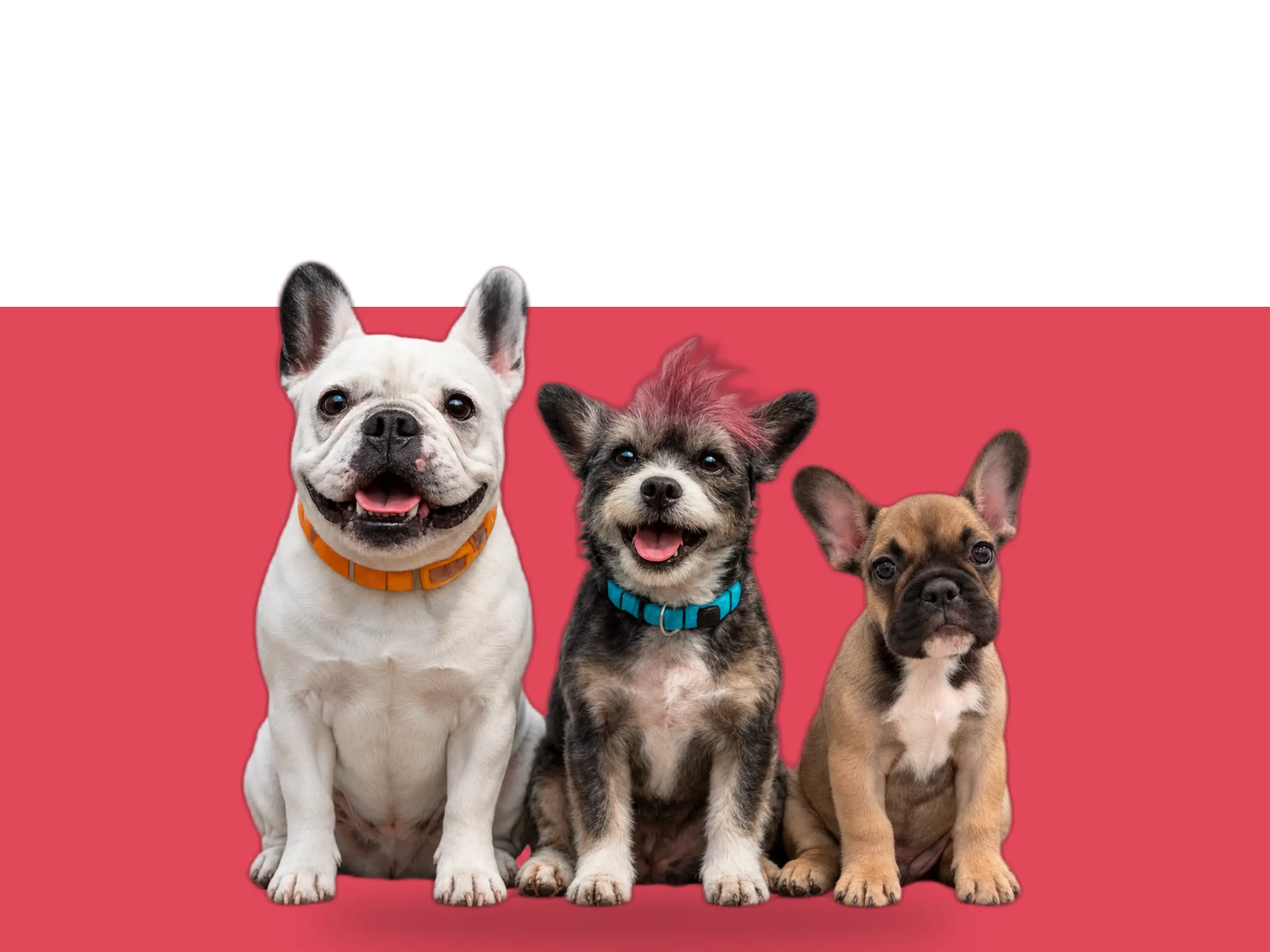 Mini banner