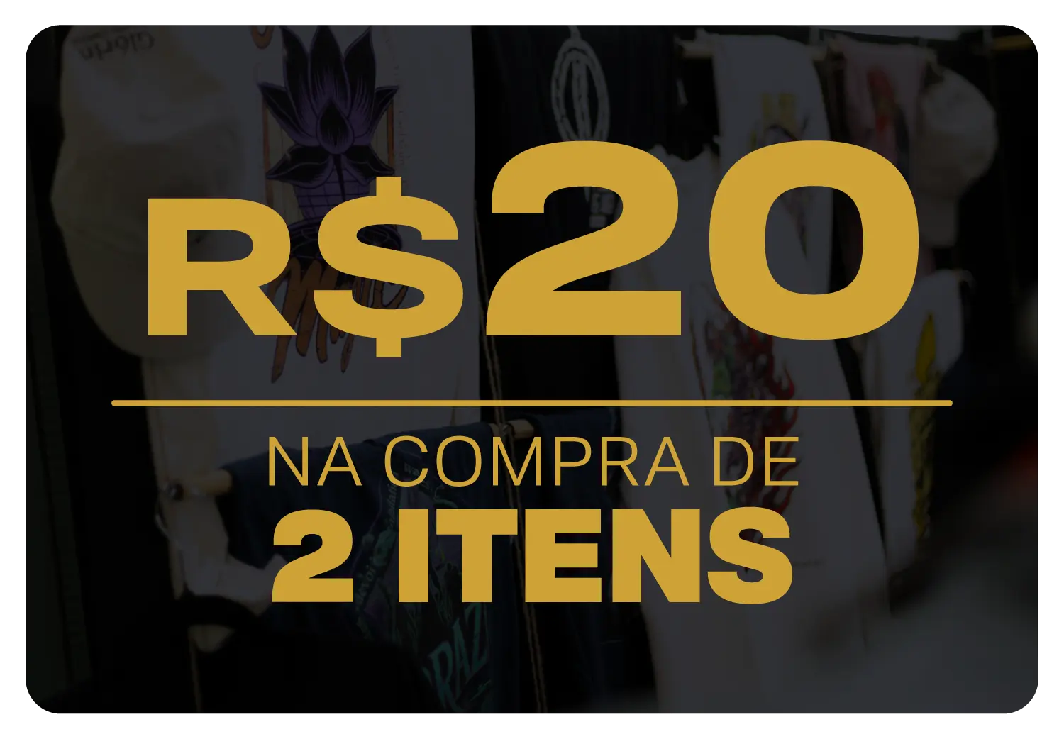 Imagem 0 da seção 1