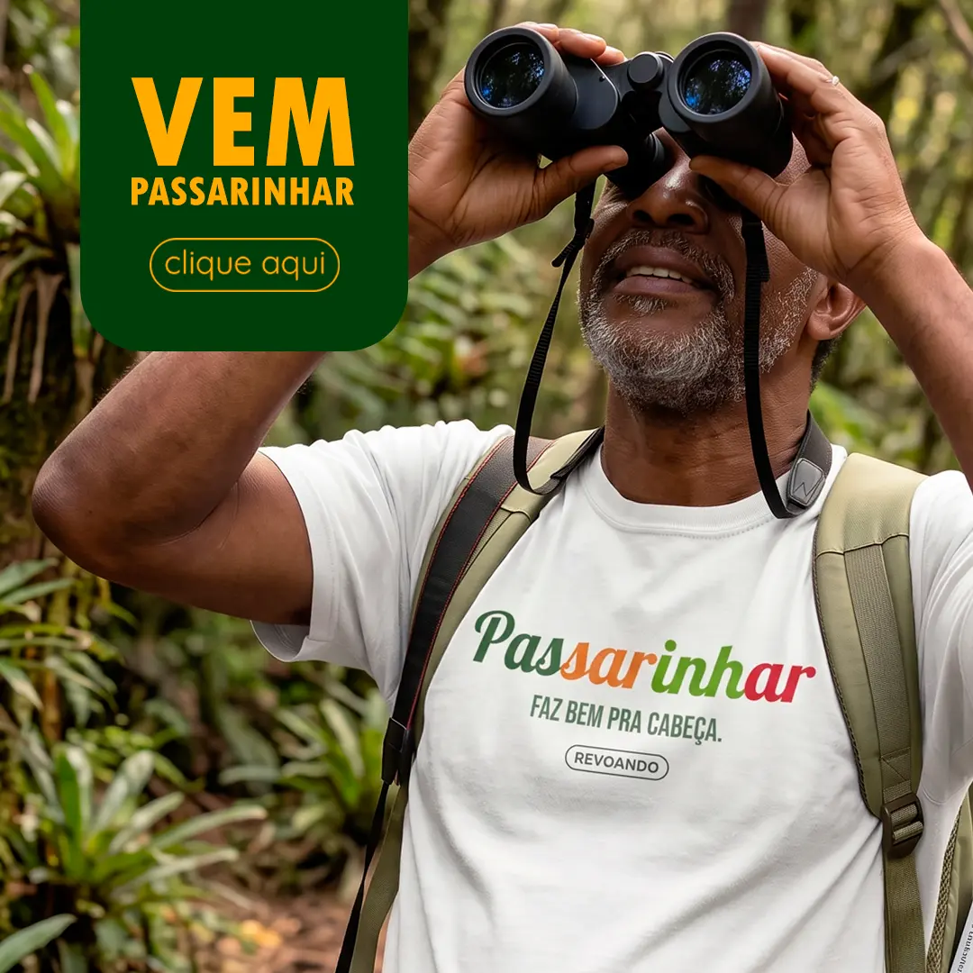 Imagem 1 da seção 2