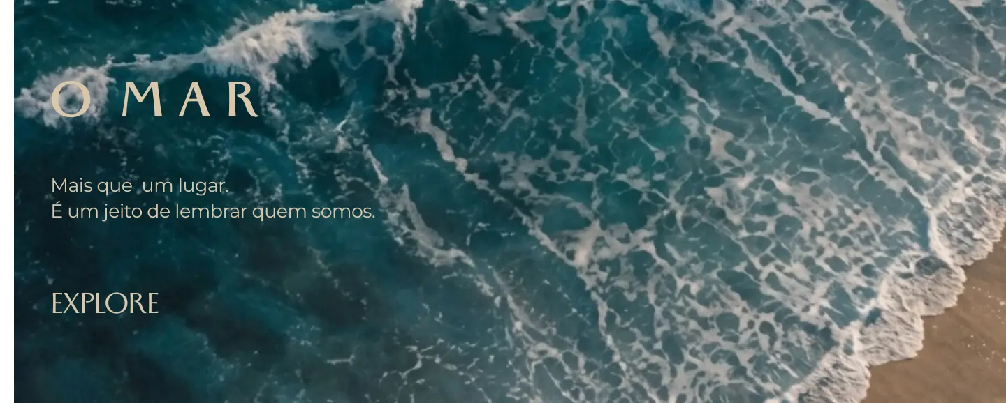 Imagem 0 da seção 6