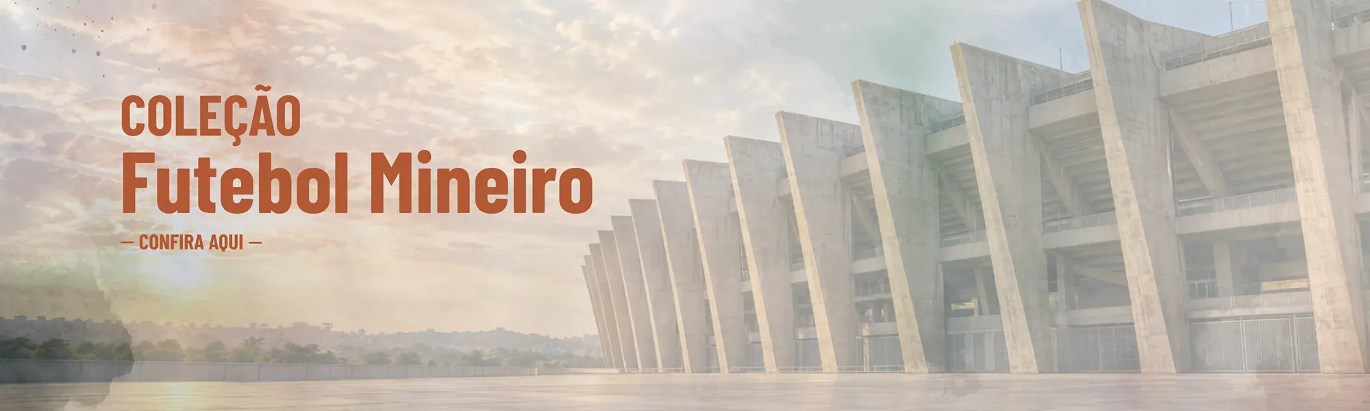 Imagem 0 da seção 9