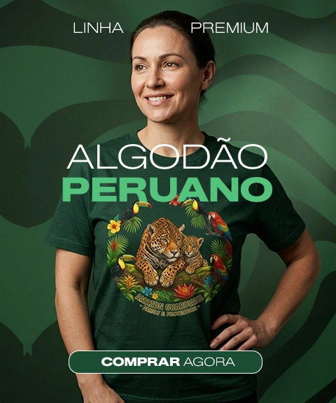 Imagem 2 da seção 4