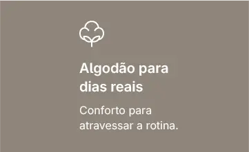 Imagem 2 da seção 17